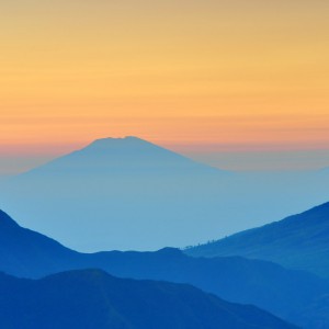 img05 img05